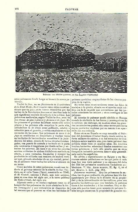 LAMINA ESPASA 39739: Palomar en Los Angeles