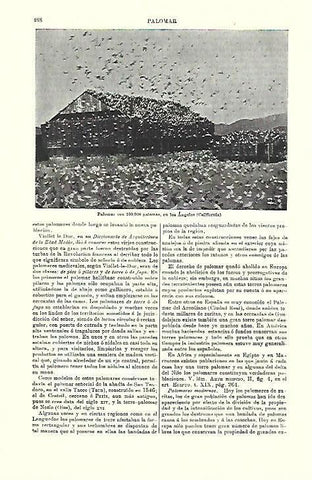 LAMINA ESPASA 39739: Palomar en Los Angeles