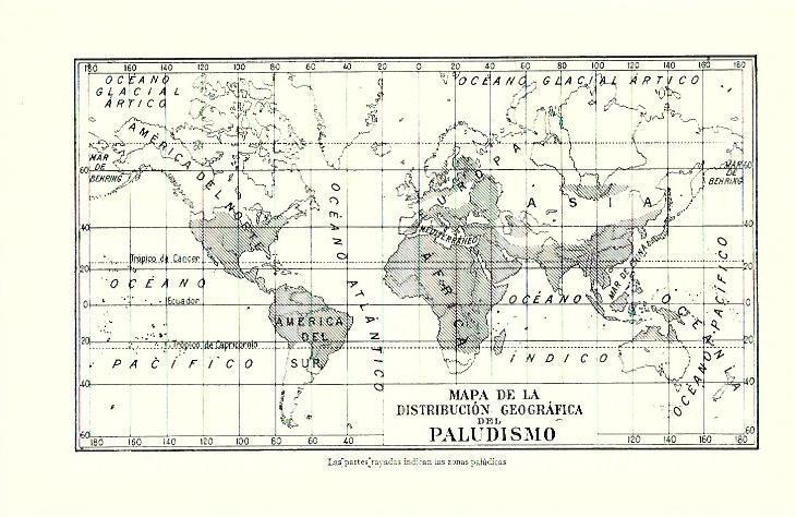 LAMINA ESPASA 39743: Mapa mundial del paludismo