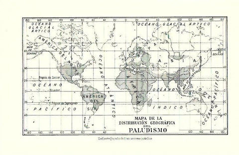 LAMINA ESPASA 39743: Mapa mundial del paludismo