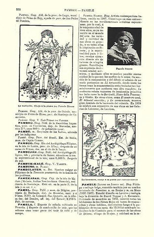 LAMINA ESPASA 39746: La madrecita, dibujo de Pamela Blanco