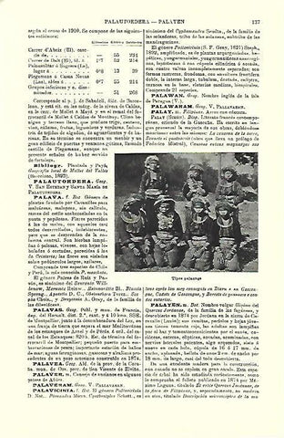 LAMINA ESPASA 39658: Palaungs 