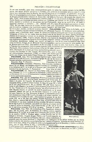 LAMINA ESPASA 39656: Mujer palaung, India