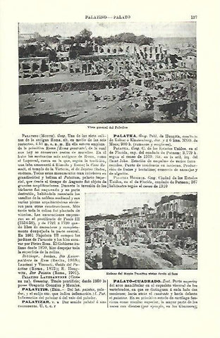 LAMINA ESPASA 39655: Vista de las ruinas del Palatino