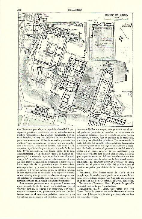 LAMINA ESPASA 39654: Plano del Monte Palatino