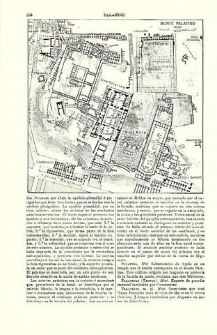 LAMINA ESPASA 39654: Plano del Monte Palatino