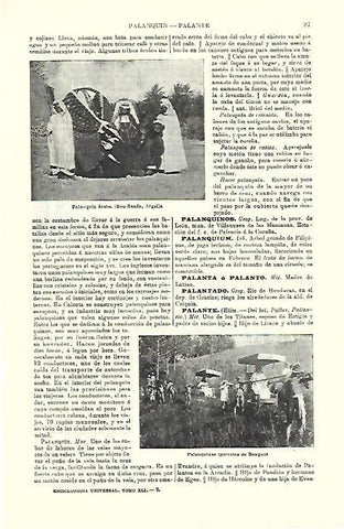LAMINA ESPASA 39646: Palanquin arabe y de Benguet