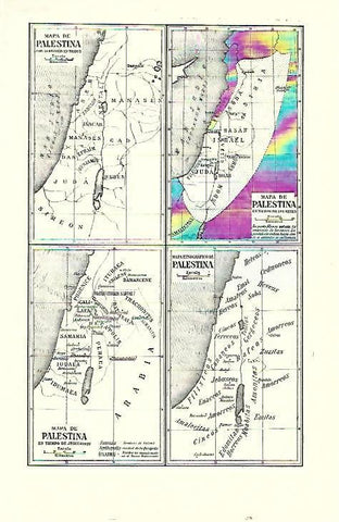 LAMINA ESPASA 39685: Varios mapas de Palestina