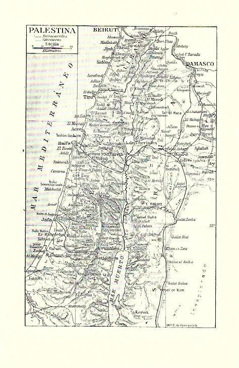 LAMINA ESPASA 39687: Mapa de Palestina 