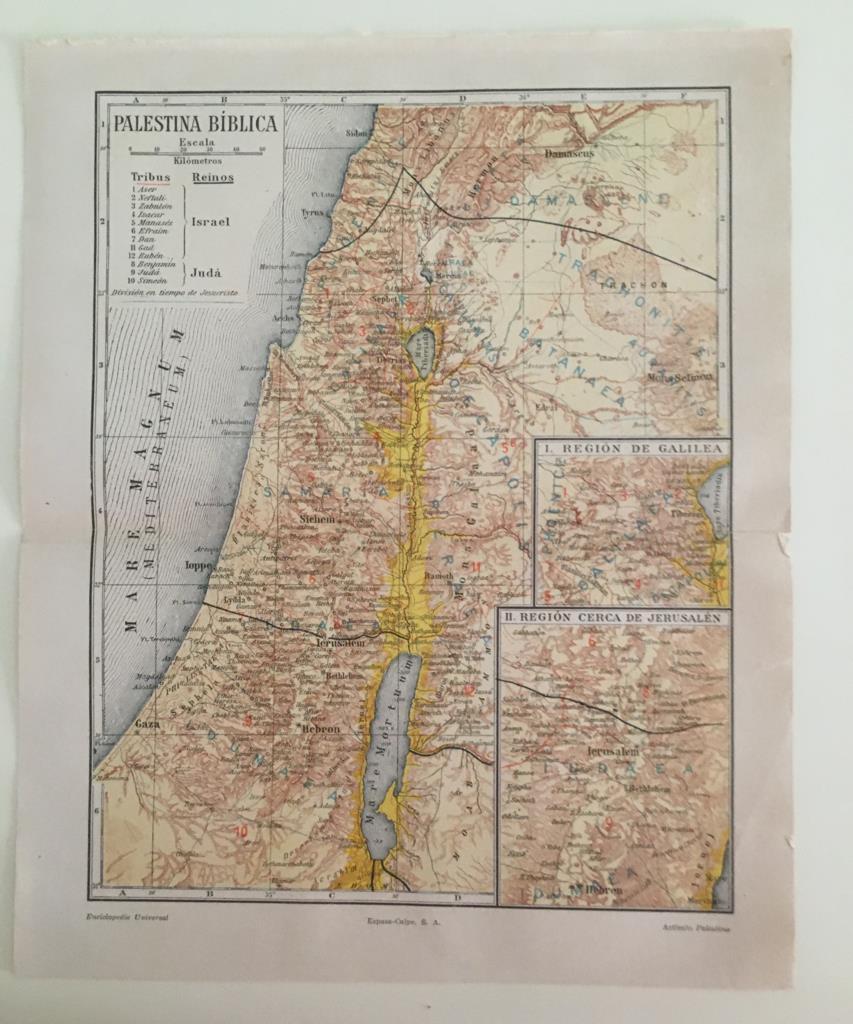 LAMINA ESPASA 39689: Mapa de Palestina biblica