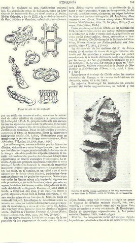 LAMINA ESPASA 39271: Escultura de los Sao de Camerun