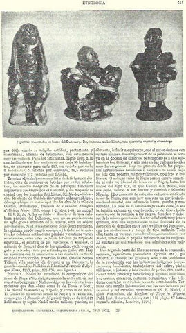 LAMINA ESPASA 39272: Figurillas del Dahomey