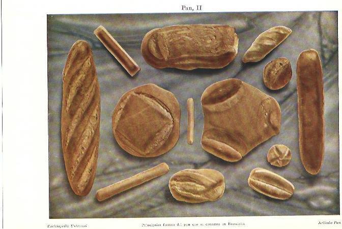 LAMINA ESPASA 39769: Tipos de pan de Barcelona