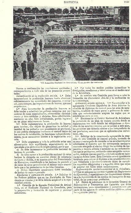 LAMINA ESPASA 39380: VII Asamblea Nacional de Avicultura