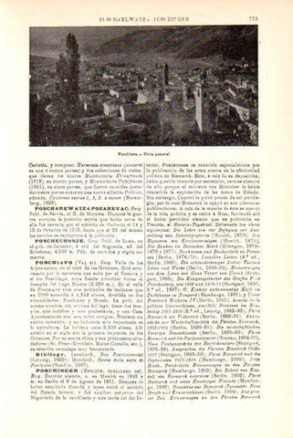 LAMINA V30238: Vista de Poschiavo