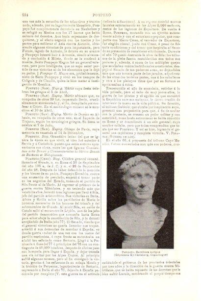 LAMINA V30127: Escultura de Pompeyo