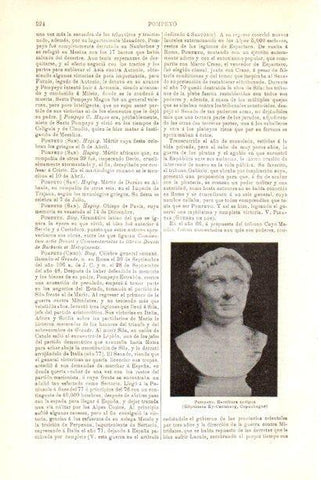 LAMINA V30127: Escultura de Pompeyo