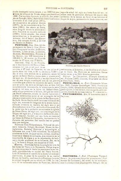 LAMINA V30147: Pontoise por Pissarro