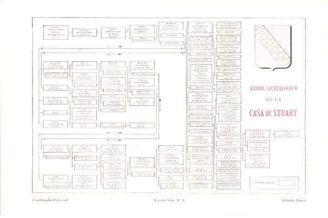 LAMINA V30337: Arbol genealogico de la Casa de Stuart