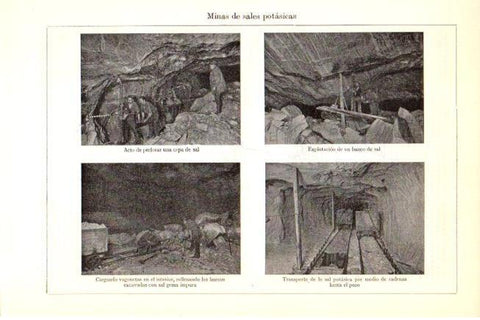 LAMINA V30316: Minas de sales potasicas