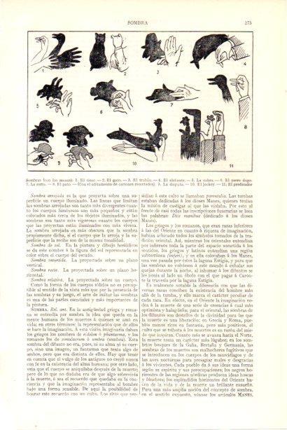 LAMINA V29942: Tipos de sombras con las manos