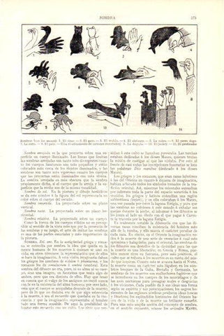 LAMINA V29942: Tipos de sombras con las manos