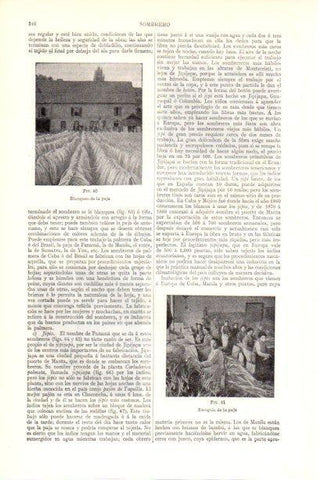 LAMINA V29950: Blanqueo y escogido de la paja