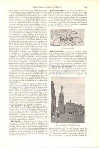LAMINA V29933: Ayuntamiento de Solre-le-Chateau