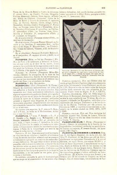 LAMINA V29828: Panoplia de Fernando el Catolico y Carlos V