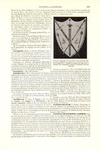 LAMINA V29828: Panoplia de Fernando el Catolico y Carlos V