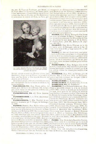 LAMINA V29831: Virgen Menor de Panshanger por Rafael