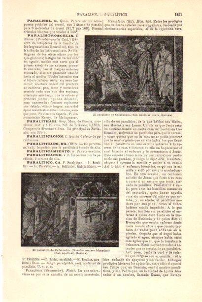 LAMINA V29878: El paralitico de Cafarnaum mosaico en Ravena