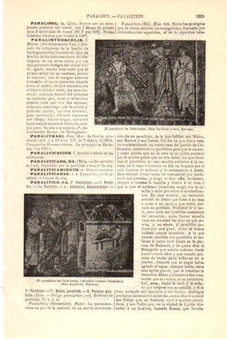 LAMINA V29878: El paralitico de Cafarnaum mosaico en Ravena