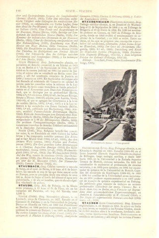 LAMINA V30055: Vista de El Staubbach, Suiza
