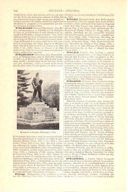 LAMINA V30060: Monumento a Stelzhamer en Linz