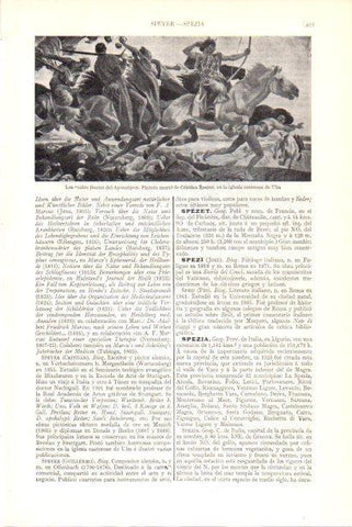 LAMINA V30033: Los cuatro jinetes del Apocalipsis por C. Speyer
