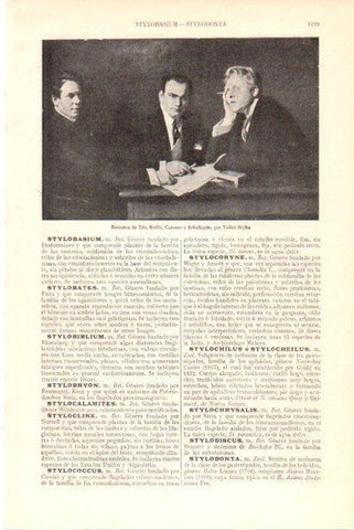LAMINA V30088: Retratos de Tita Ruffo, Carusso y Schaliapin por Tadeo Styka