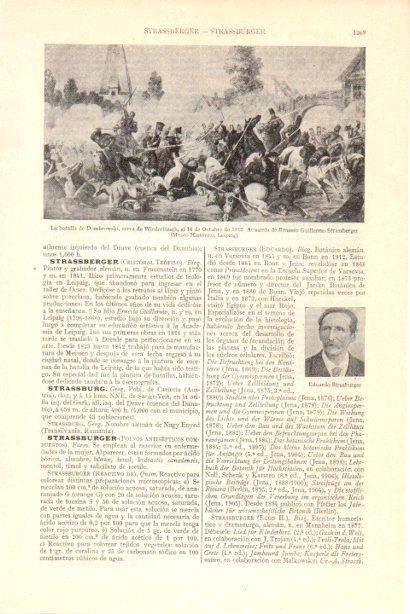 LAMINA V30071: La batalla de Dombrowski por Ernesto G. Strassberger
