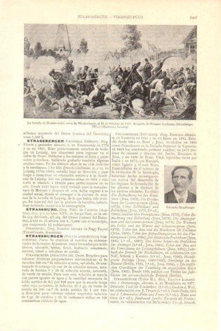 LAMINA V30071: La batalla de Dombrowski por Ernesto G. Strassberger