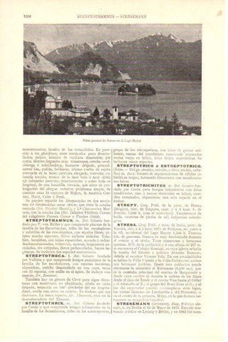 LAMINA V30077: Vista de Stresa en el Lago Mayor
