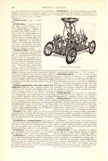 LAMINA V30078: Carro votivo de Strettweg