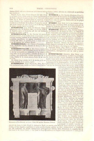 LAMINA V30079: Monumento a Tito Strocchi en Lucca