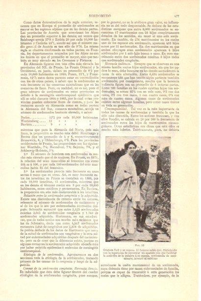 LAMINA V29983: Graham Bell y su esposa