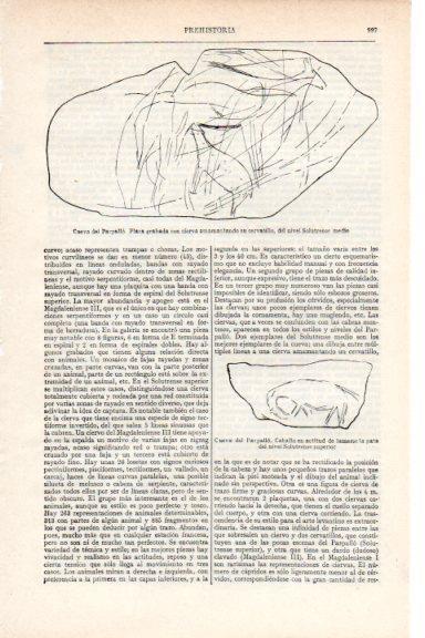 LAMINA V29671: Dibujo del caballo de la Cueva del Parpallo