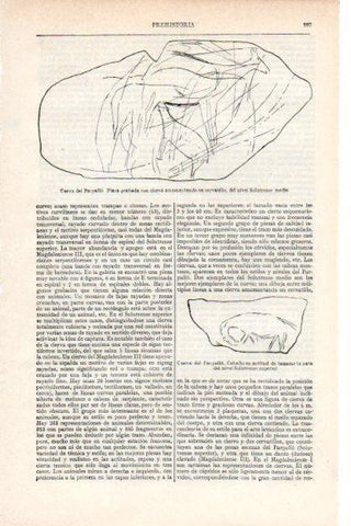 LAMINA V29671: Dibujo del caballo de la Cueva del Parpallo