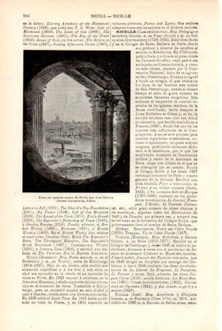 LAMINA V29347: Puente nuevo de Paris por Jose Nicolle