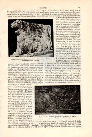 LAMINA V29377: Leona escultura de un templo de Ninive