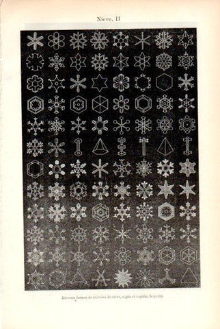 LAMINA V29356: Nieve formas de cristales según capital Scoresby