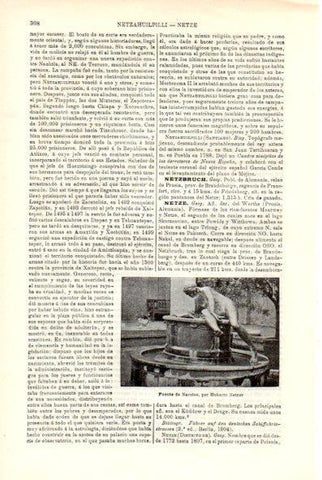 LAMINA V29309: Fuente de Narciso por Netzer