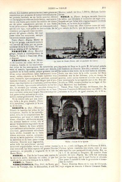 LAMINA V29308: Cripta de la iglesia de Nesle